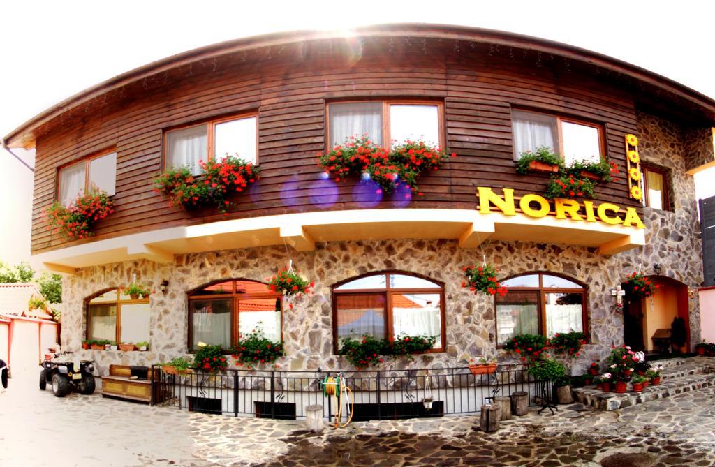 Pensiunea Norica Gura Rîului Esterno foto